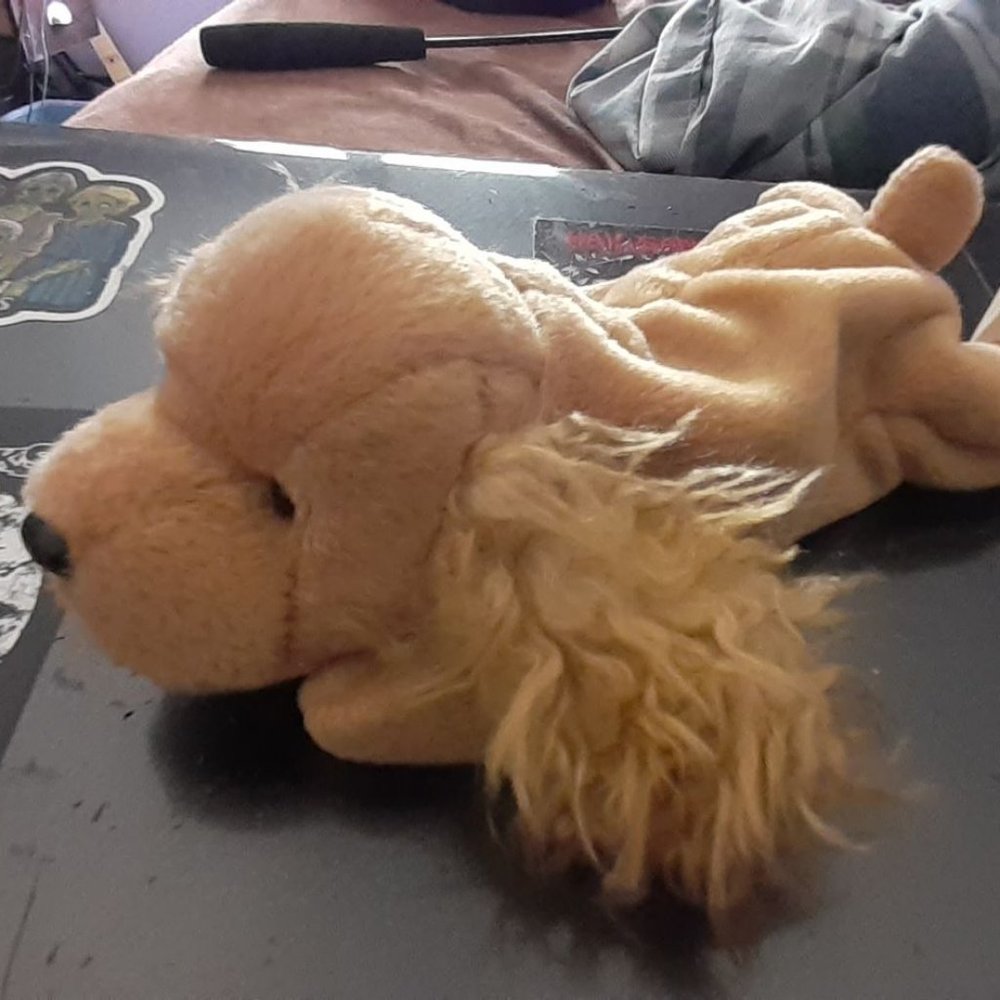 Beanie Baby Dog